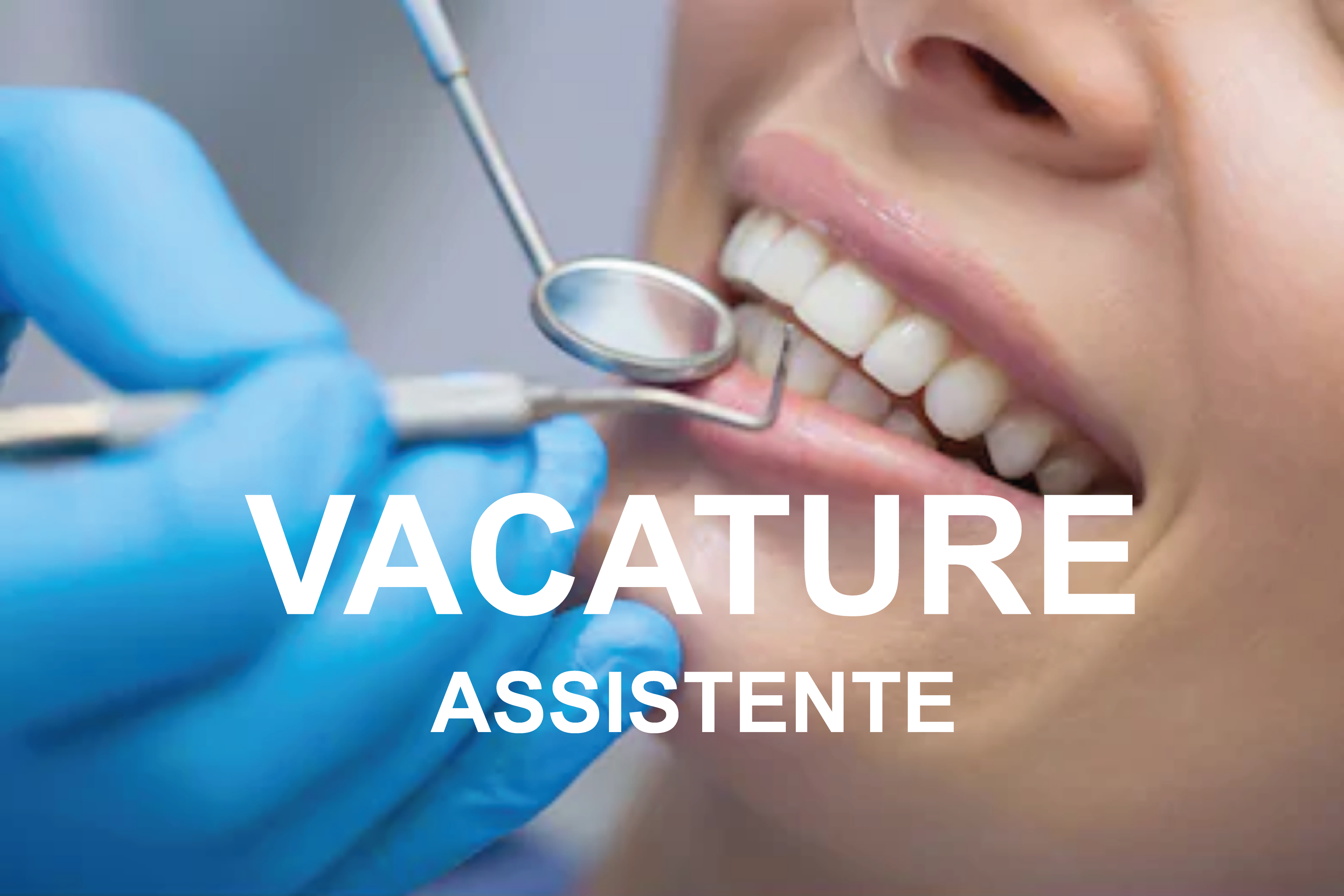 VACATURE_Assistente